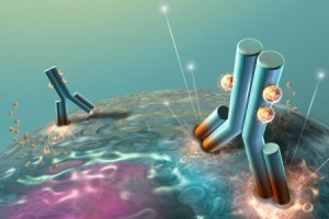 Monoclonal_Antibody_1082911fdf